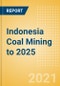 Indonesia Coal Mining to 2025 - Updated with Impact of COVID-19 - Product Image