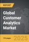 Customer Analytics - Global Strategic Business Report - Product Thumbnail Image