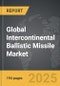 Intercontinental Ballistic Missile - Global Strategic Business Report - Product Thumbnail Image