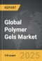 Polymer Gels - Global Strategic Business Report - Product Thumbnail Image