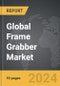 Frame Grabber - Global Strategic Business Report - Product Image