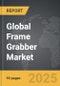 Frame Grabber - Global Strategic Business Report - Product Image