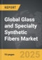 Glass and Specialty Synthetic Fibers - Global Strategic Business Report - Product Image