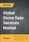 Drone Data Services - Global Strategic Business Report - Product Image