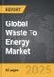 Waste To Energy (WTE) - Global Strategic Business Report - Product Image