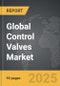 Control Valves - Global Strategic Business Report - Product Image