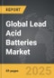 Lead Acid Batteries - Global Strategic Business Report - Product Image