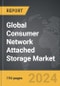 Consumer Network Attached Storage (NAS) - Global Strategic Business Report - Product Thumbnail Image
