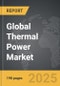 Thermal Power - Global Strategic Business Report - Product Image