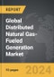 Distributed Natural Gas-Fueled Generation - Global Strategic Business Report - Product Thumbnail Image