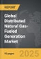 Distributed Natural Gas-Fueled Generation - Global Strategic Business Report - Product Thumbnail Image