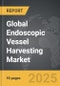 Endoscopic Vessel Harvesting - Global Strategic Business Report - Product Thumbnail Image