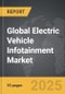 Electric Vehicle Infotainment - Global Strategic Business Report - Product Thumbnail Image