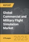 Commercial and Military Flight Simulation - Global Strategic Business Report - Product Image