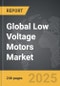 Low Voltage Motors - Global Strategic Business Report - Product Image