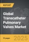 Transcatheter Pulmonary Valves - Global Strategic Business Report - Product Thumbnail Image