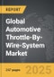 Automotive Throttle-By-Wire-System: Global Strategic Business Report - Product Image