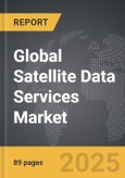 Satellite Data Services - Global Strategic Business Report- Product Image