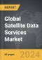 Satellite Data Services - Global Strategic Business Report - Product Image