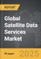 Satellite Data Services - Global Strategic Business Report - Product Image