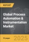 Process Automation & Instrumentation - Global Strategic Business Report - Product Image