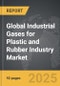 Industrial Gases for Plastic and Rubber Industry - Global Strategic Business Report - Product Thumbnail Image