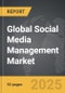 Social Media Management - Global Strategic Business Report - Product Thumbnail Image