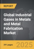 Industrial Gases in Metals and Metal Fabrication - Global Strategic Business Report- Product Image