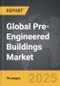 Pre-Engineered Buildings - Global Strategic Business Report - Product Thumbnail Image