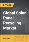 Solar Panel Recycling - Global Strategic Business Report- Product Image