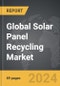 Solar Panel Recycling - Global Strategic Business Report - Product Thumbnail Image