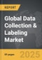 Data Collection & Labeling - Global Strategic Business Report - Product Image