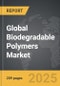 Biodegradable Polymers - Global Strategic Business Report - Product Thumbnail Image