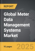 Meter Data Management Systems - Global Strategic Business Report- Product Image