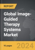 Image-Guided Therapy Systems - Global Strategic Business Report- Product Image