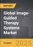 Image-Guided Therapy Systems - Global Strategic Business Report- Product Image