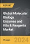Molecular Biology Enzymes and Kits & Reagents - Global Strategic Business Report - Product Image