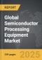 Semiconductor Processing Equipment: Global Strategic Business Report - Product Thumbnail Image