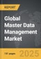 Master Data Management - Global Strategic Business Report - Product Image