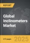 Inclinometers - Global Strategic Business Report - Product Thumbnail Image