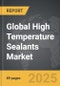 High Temperature Sealants - Global Strategic Business Report - Product Image