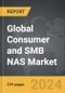 Consumer and SMB NAS: Global Strategic Business Report - Product Image
