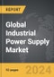 Industrial Power Supply - Global Strategic Business Report - Product Thumbnail Image