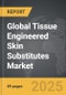 Tissue Engineered Skin Substitutes - Global Strategic Business Report - Product Image