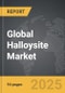 Halloysite - Global Strategic Business Report - Product Thumbnail Image