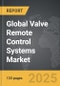 Valve Remote Control Systems - Global Strategic Business Report - Product Thumbnail Image