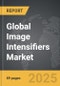 Image Intensifiers - Global Strategic Business Report - Product Image