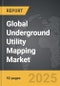 Underground Utility Mapping - Global Strategic Business Report - Product Thumbnail Image