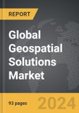 Geospatial Solutions - Global Strategic Business Report- Product Image