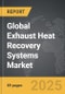 Exhaust Heat Recovery Systems - Global Strategic Business Report - Product Thumbnail Image